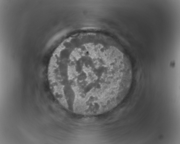 X0000115181351200911251347
