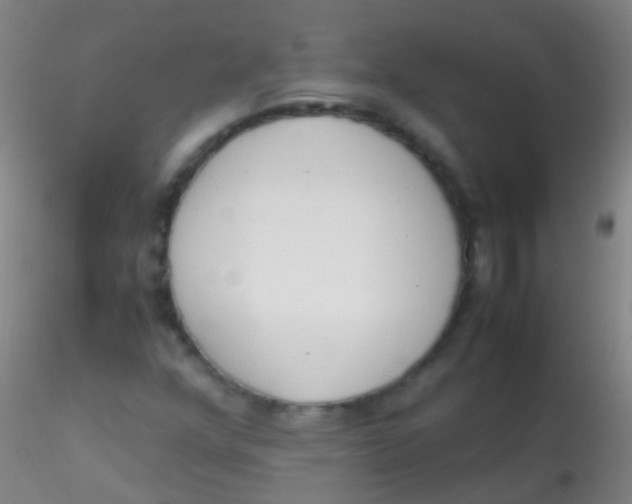 X0000115181352200911251347