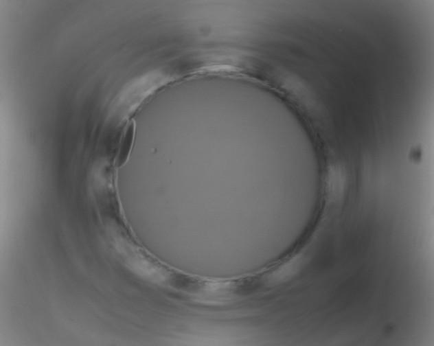 X0000115181353200911251347