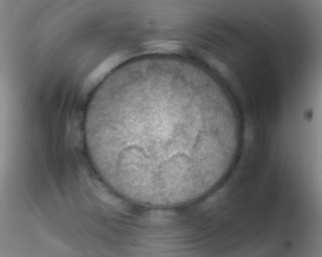 X0000115181354200911251347