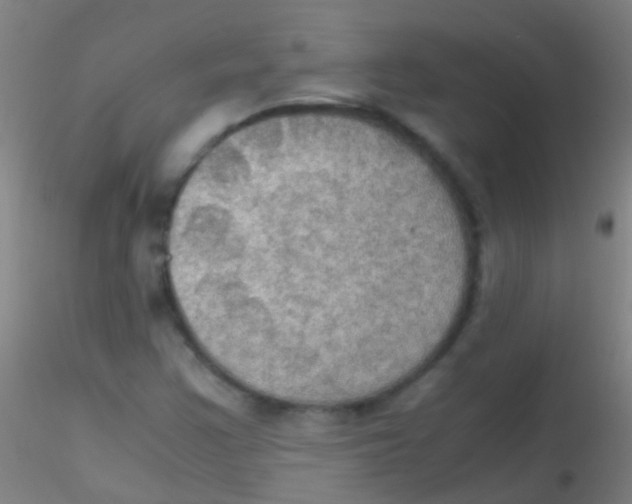 X0000115181355200911251347