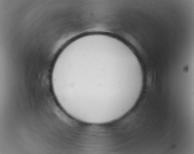 X0000115181356200911251347