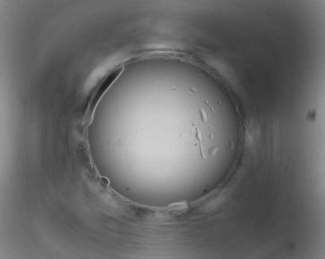 X0000115181357200911251347