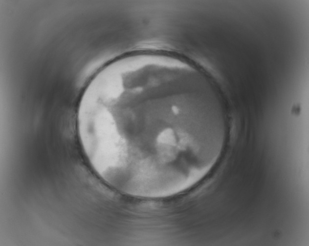 X0000115181358200911251347