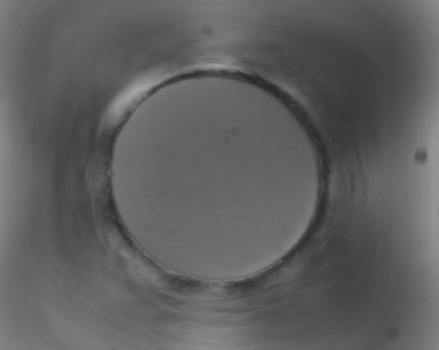 X0000115181359200911251347