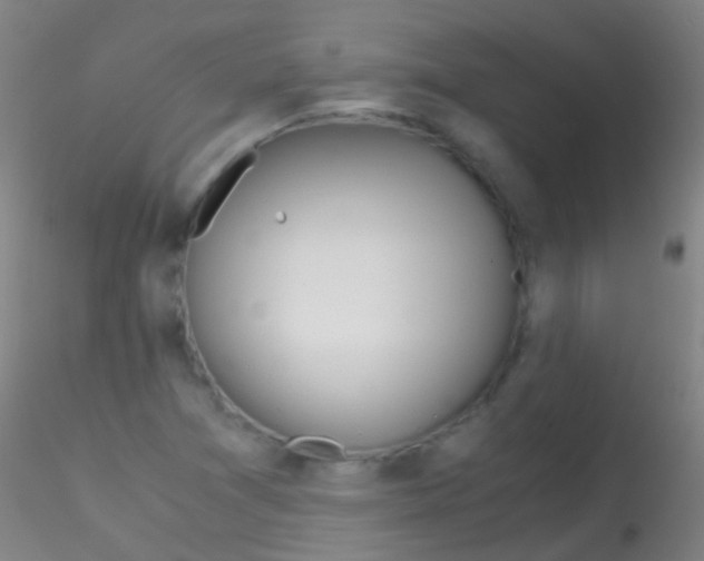 X0000115181361200911251347