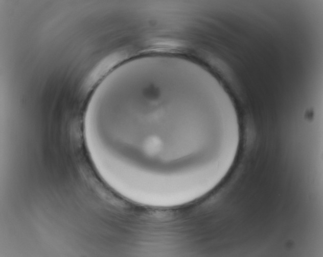 X0000115181362200911251347