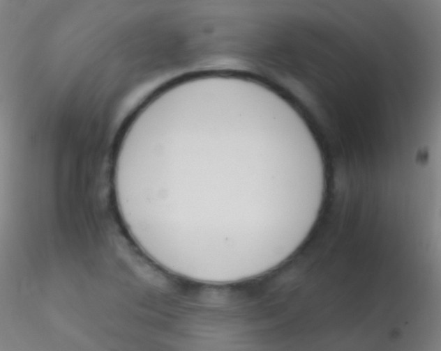 X0000115181364200911251347