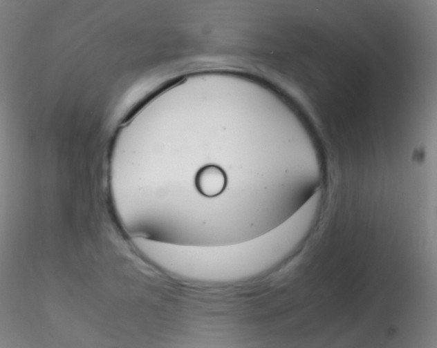 X0000115181365200911251347