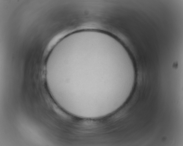 X0000115181366200911251347