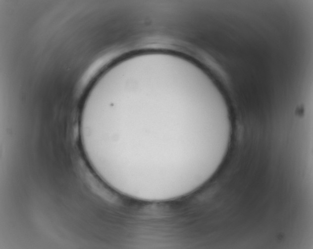 X0000115181368200911251347
