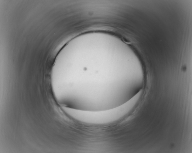X0000115181369200911251347