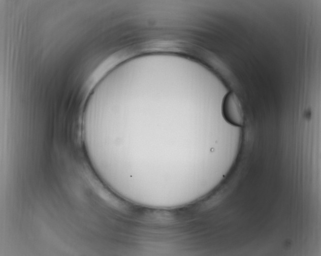 X0000115181370200911251347