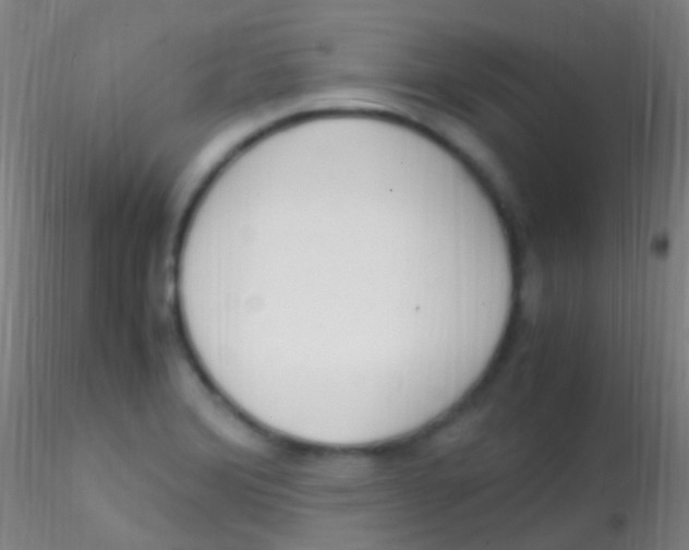 X0000115181372200911251347