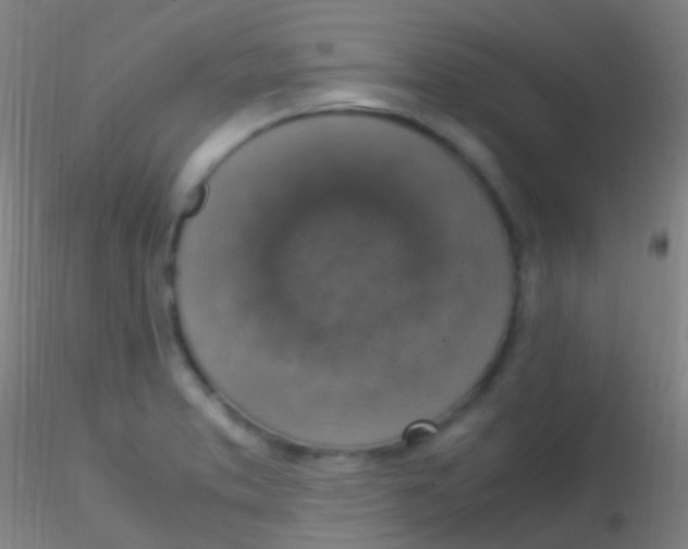 X0000115181373200911251347