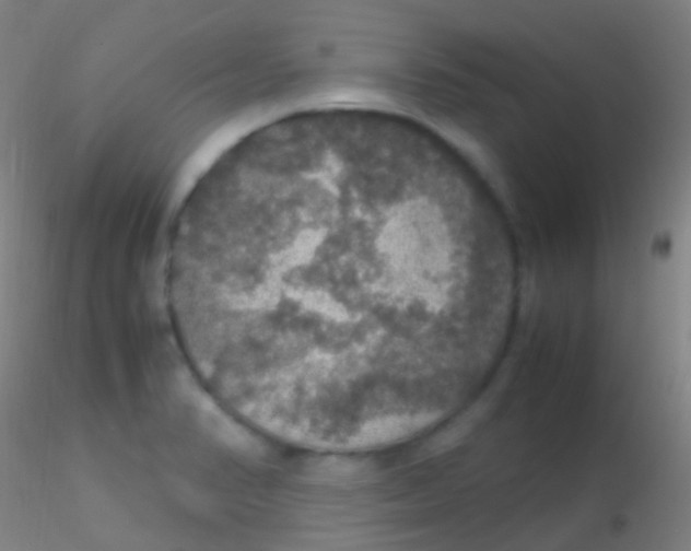 X0000115181374200911251347