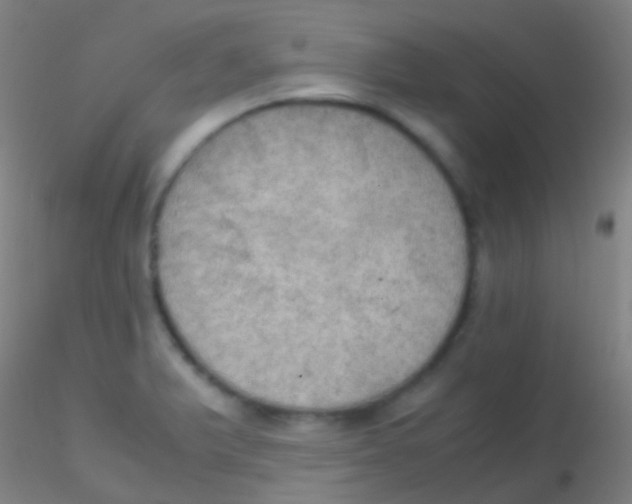 X0000115181375200911251347