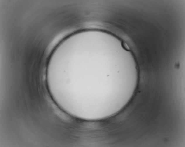 X0000115181376200911251347