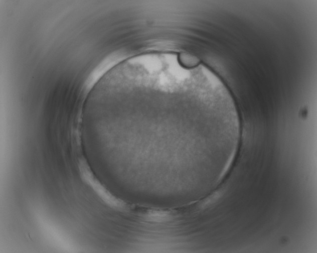 X0000115181378200911251347