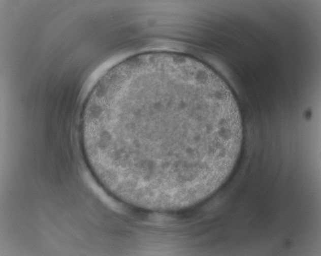 X0000115181379200911251347