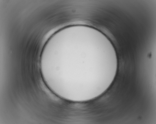 X0000115181380200911251347