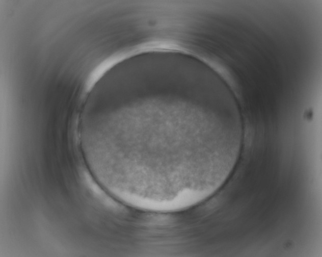 X0000115181382200911251347