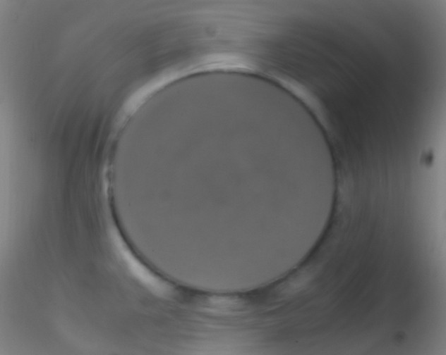 X0000115181383200911251347