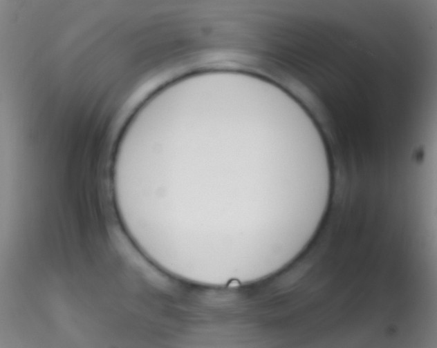 X0000115181384200911251347