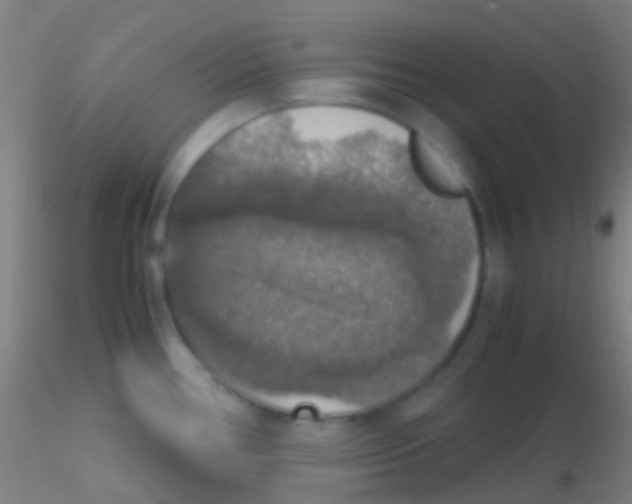 X0000115181386200911251347