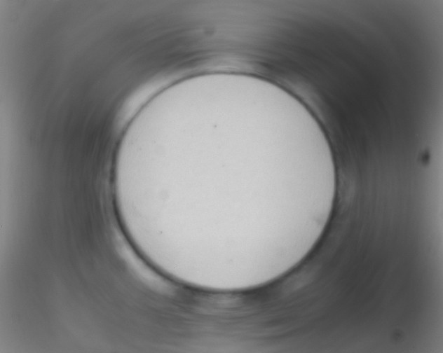 X0000115181387200911251347