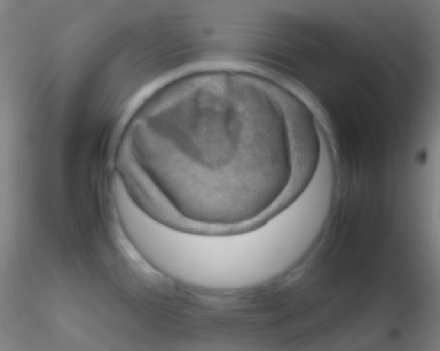 X0000115181388200911251347
