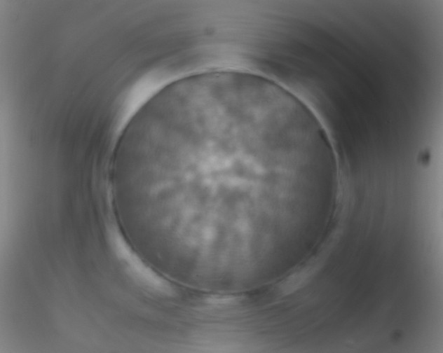 X0000115181389200911251346