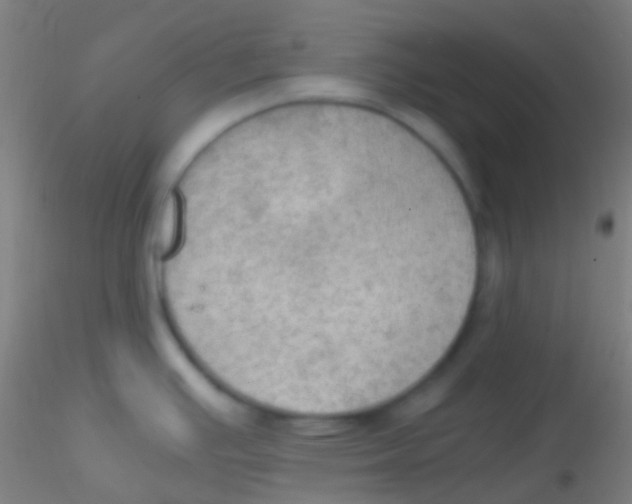 X0000115181391200911251346
