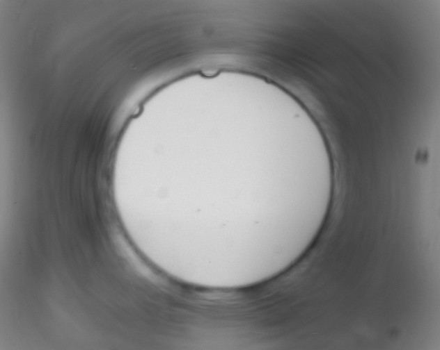 X0000115181392200911251346