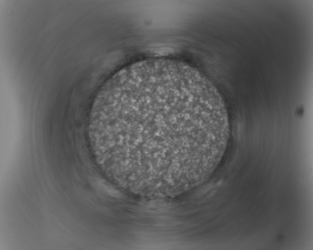 X0000115181393200911251346