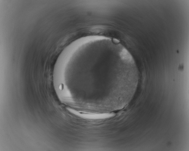X0000115181394200911251346