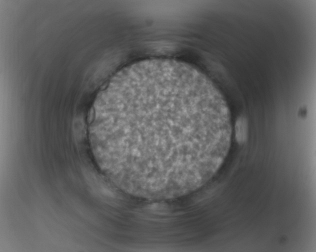 X0000115181395200911251346