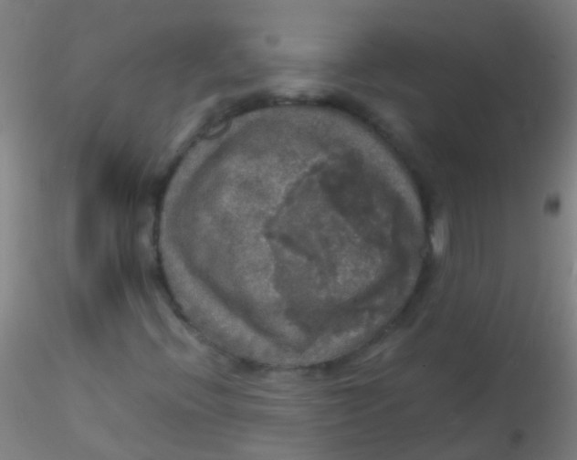 X0000115181396200911251346