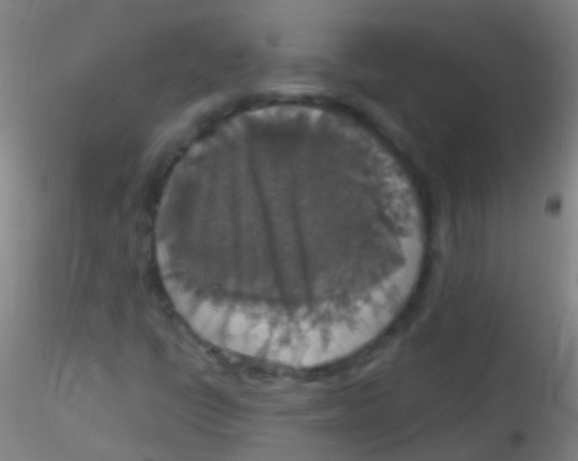 X0000115181398200911251346