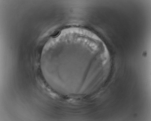 X0000115181399200911251346