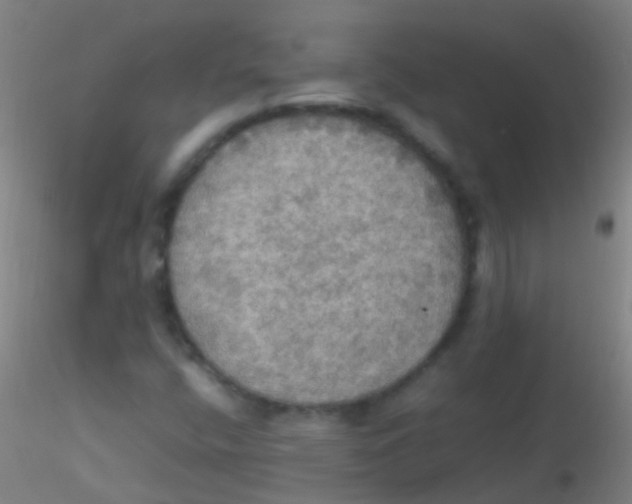 X0000115181400200911251346