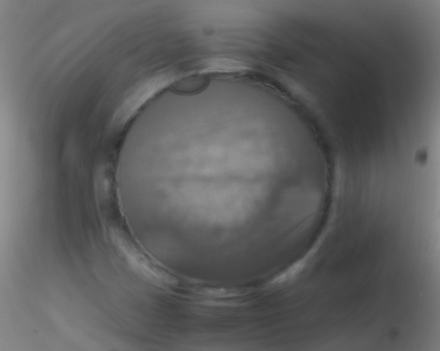 X0000115181401200911251346