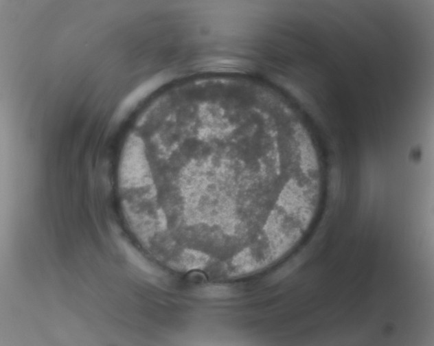 X0000115181402200911251346