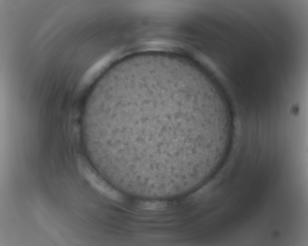 X0000115181403200911251346