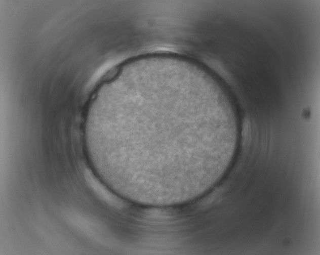 X0000115181404200911251346