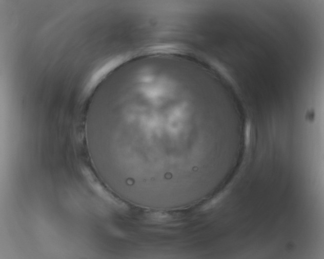 X0000115181405200911251346