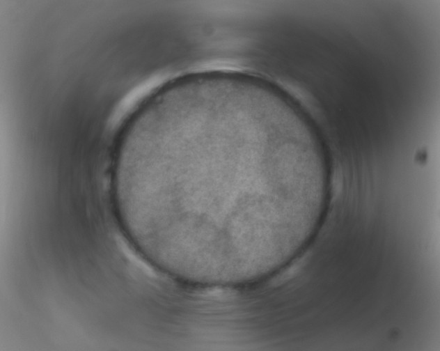 X0000115181406200911251346
