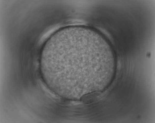 X0000115181407200911251346