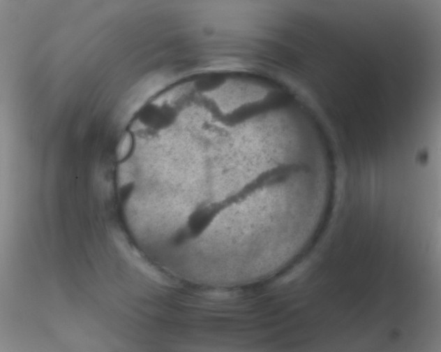 X0000115181409200911251346