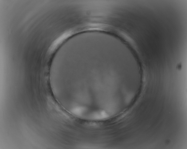 X0000115181411200911251346